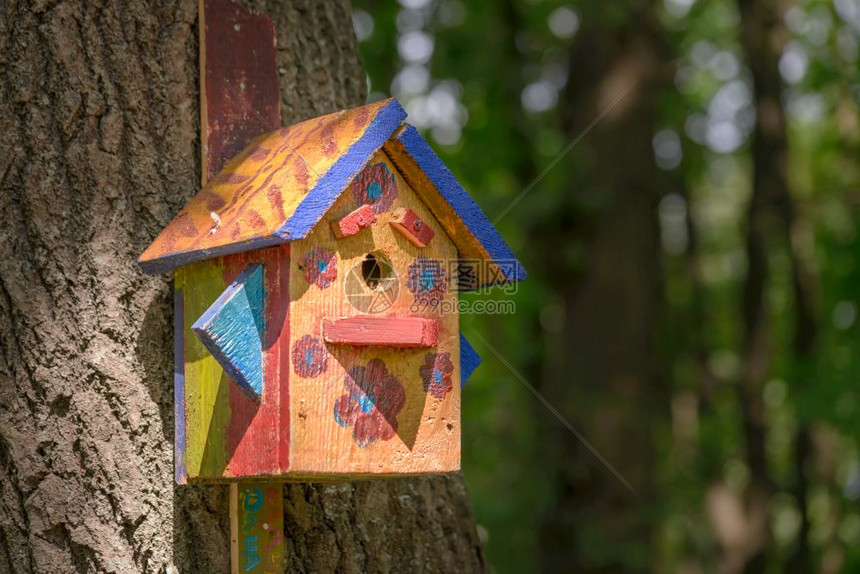 建造春天在树林里用芯片板和锌制成的手工鸟窝巢图片