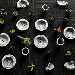 最佳多汁的新鲜手工制作花盆由水泥制成用为植物加料到装饰家从最高角度看黑背景惊人有微型锅和绿色植物图片