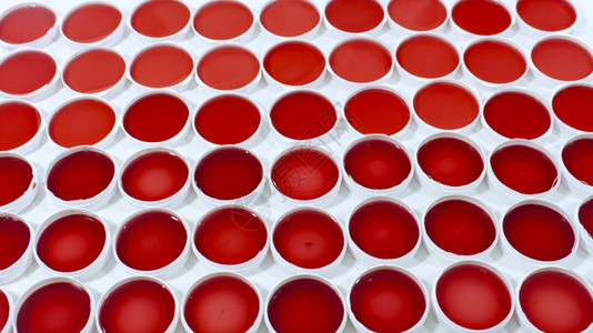 科学的红色质地白表面圆形塑料容器中红色液体临床样本集的特写视图白色表面圆形塑料容器中红色液体临床样本集图片