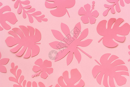 夏天热带树叶图案粉红色背景上流行的粉红色热带纸叶平铺自上而下的构图创意纸艺术花园有创造力的图片