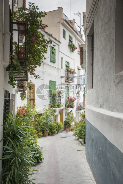 白色的旅行在AndalusiaSpain的典型街道上白房子和篮在街上配花的普通西班牙白人住宅里装鲜花镇图片