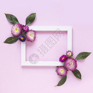 装饰花朵粉红背景的高视图框架最小的简单高架图片