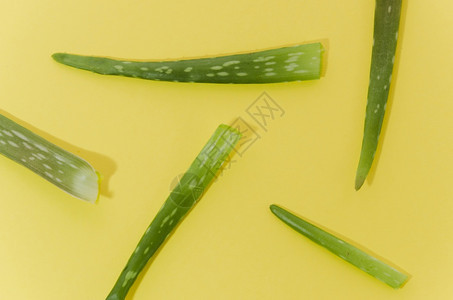 高分辨率光aloeVera黄色背景优质照片度药物医疗的植学图片