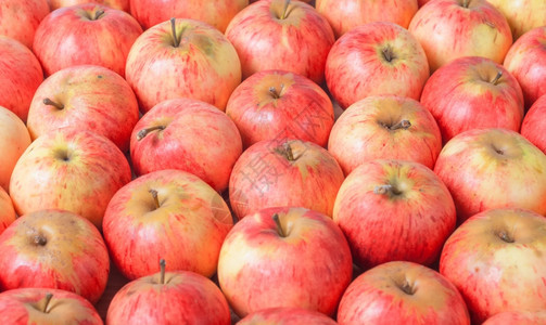 列内红色苹果的顶端视图甜食物白色图片