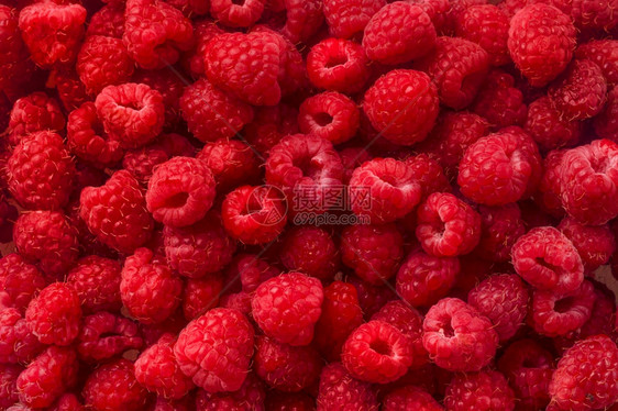 新鲜成熟的草莓背景特辑照片营养美食水果图片