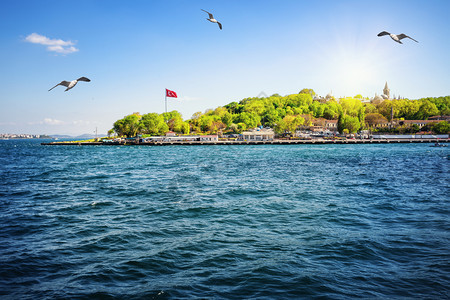 太阳博斯普鲁海峡湾的伊坦布尔海岸明亮的阳光下绿树船只和海鸥的岸土耳其伊斯坦布尔的夏日风景博斯普鲁湾的伊坦布尔海岸船舶图片