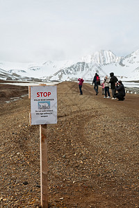 欧洲荒野停止在斯瓦尔巴德群岛NyAlesund挪威斯瓦尔巴德群岛的北极熊危险欧的图片