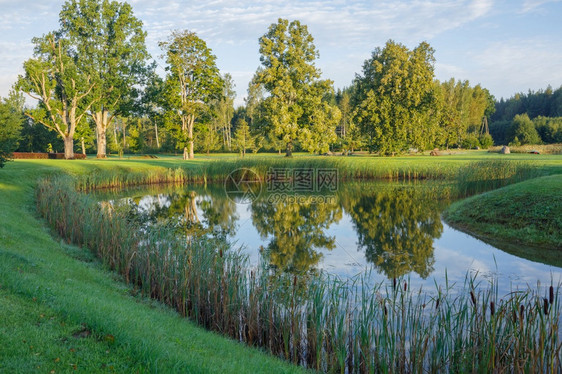 拉脱维亚湖Talsi市Talsi带水草的拉托维亚湖村庄田园诗般的图片