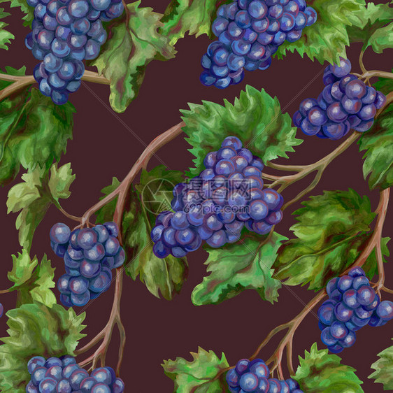 如画无缝结构图案植物画带有丙烯涂料的植物图画美丽的葡萄枝条在布根底背景上彩色的蓝葡萄丙烯酸纤维白色的图片