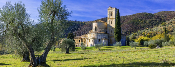 真正的在意大利橄榄树之间托斯卡纳市中心圣斯普修道院安提莫花园宁静图片