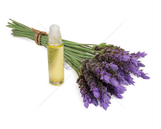 有香味的白底孤立天然芳香疗法作为天然芳香疗法基本石油和新鲜紫色花朵压力烧瓶图片