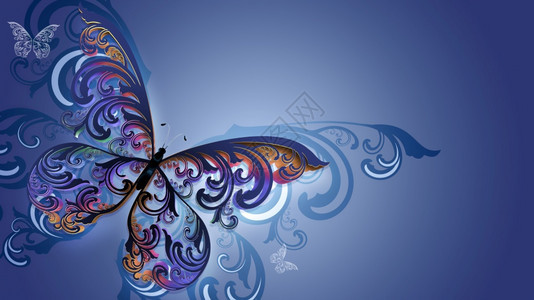 美丽的多色蝴蝶有方形翅膀优雅动物异国情调图片
