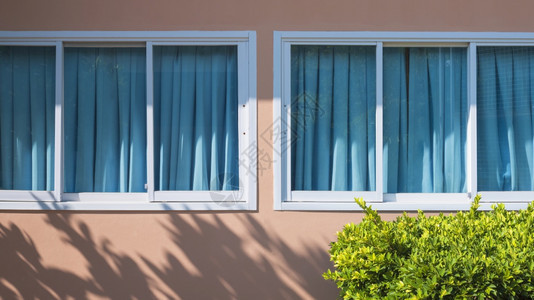 粉红色水泥墙上的玻璃滑动窗和蓝色帘表面有阳光和阴影前景浅地有绿灌木家庭外部建筑概念绿色衬套建筑学图片