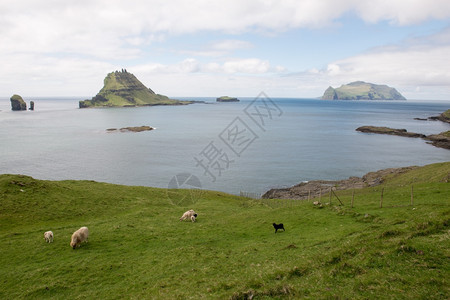 加萨达鲁尔积极的自然法罗群岛上的Gasholmur和Tindholmur岛和Mykines从Gasadalur与羊一起看到的法罗图片