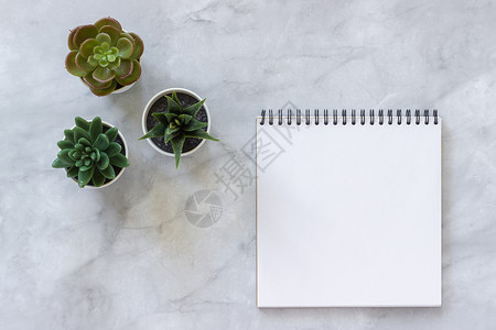 博主自由职业者有创造力的大理石桌子背景上的三个多肉植物和白色开放空笔记本顶视图模拟平面放置板用于您的文本设计三多肉植物和白色开放图片
