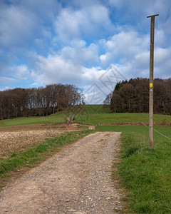 植物群德国伯吉斯州BergischerPanoromasteig长途徒步远足的全景观欧洲路德维希图片