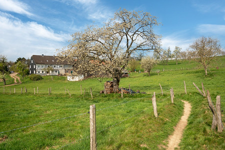 风景土地德国伯吉斯州BergischerPanoromasteig长途徒步远足的全景观哈克汽车图片