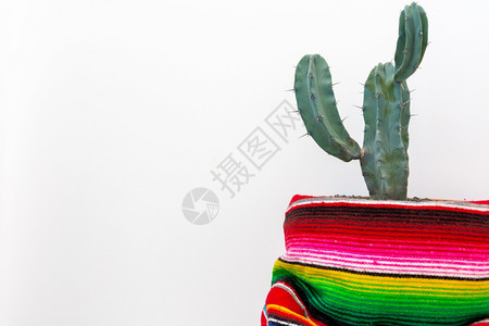 质地塞拉佩白背景上隔离的仙人掌和多彩墨西哥手工图片