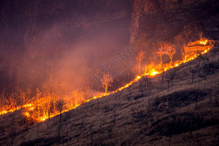 山区的森林火灾图片