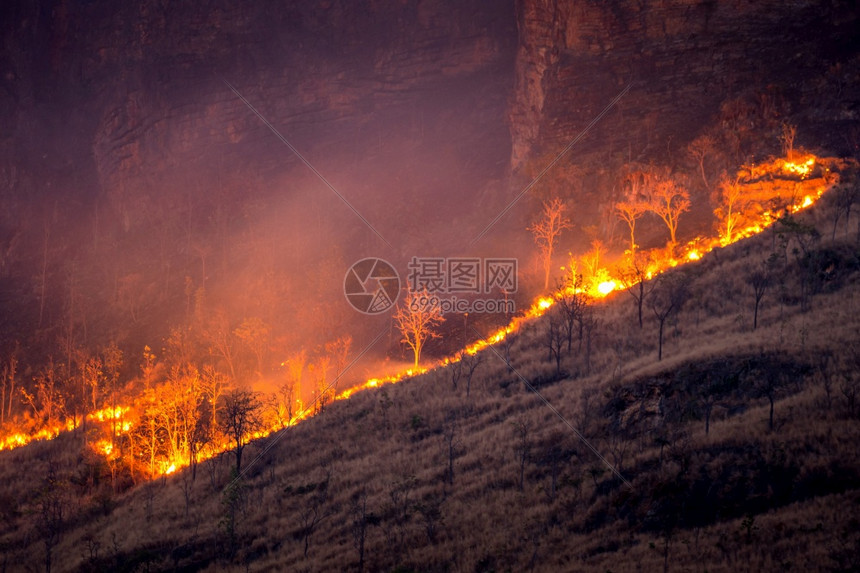 山区的森林火灾图片