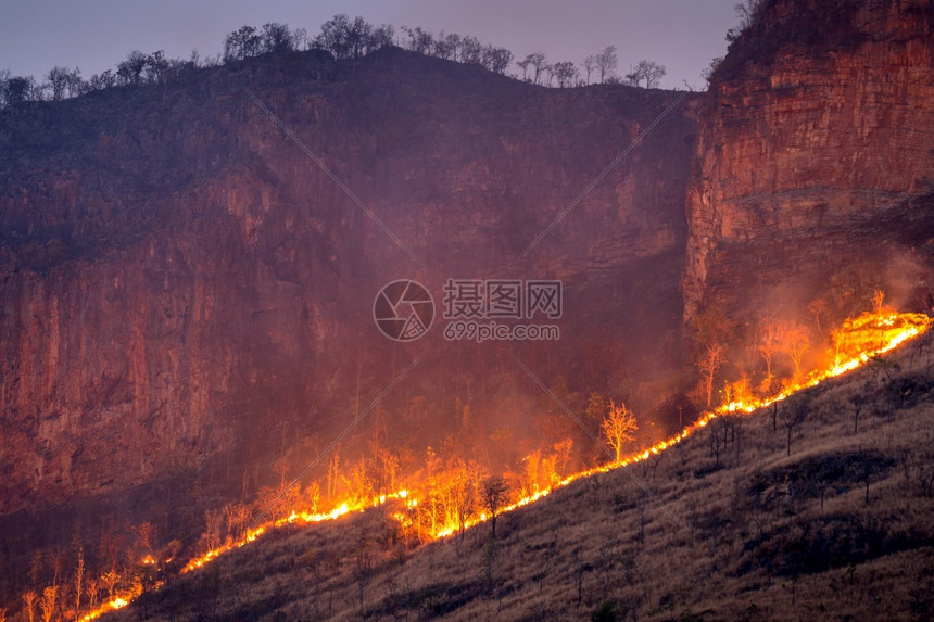 黑色的山区森林火灾气候河图片