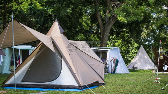 假期林中露营区帐篷群图片