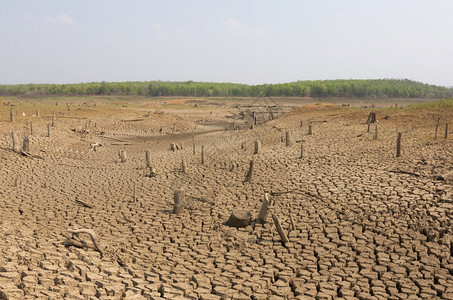 加利福尼亚全球升温夏季的干旱地面是燥的蓄水池梅穆赫兰邦泰国全球变暖干旱泥污染图片