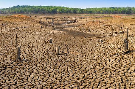 夏天土壤全球升温夏季的干旱地面是燥的蓄水池梅穆赫兰邦泰国全球变暖干旱灰尘图片