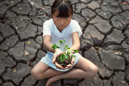 坐在皲裂的地上手捧绿色植物的小女孩图片