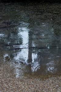 木头外部路地面上有雨滴图片