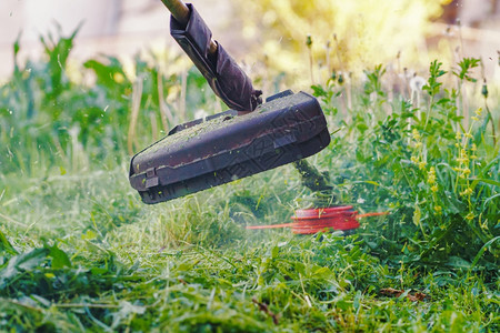 男农场手动的在院子里工作或花园切草的电刷梳子手白天低角度观察在花园里割草或者在花园里剪草图片