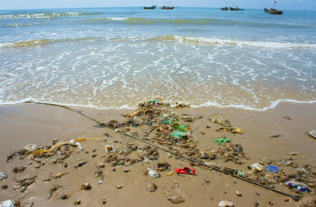 为了越南语全球的渔村海产食品来源废物一群温螃蟹蜗牛沙壳上的贝类自然资源是浪费全球环境危险等越南渔业村的海产食品来源废物图片
