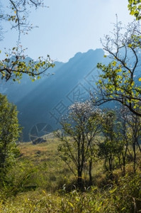 灰色的路冒险泰国清迈DoiLuangChongDao山自然公园景观图片