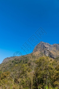 泰国清迈DoiLuangChongDao山自然公园景观森林天空娱乐图片