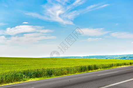 运输乡村的景观阳光明夏日的农业田地和沥青高速公路阳光明媚的夏日和公路图片