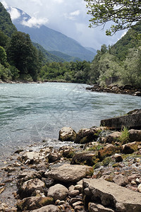 白种人高加索山河的景色很美荒野树图片