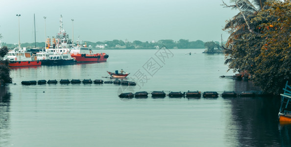 渔业加勒港和船只风景优美的清晨港口航海的图片