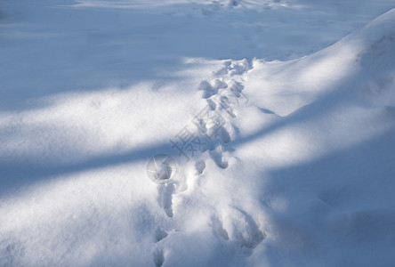 雪覆盖的森林清扫从雪覆盖的峡谷上铁轨留下痕迹农村季节童话图片