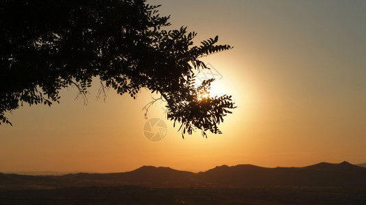 热在土耳其的安纳托利亚金色时低太阳前一棵枯树的悬影纳米比亚力量图片