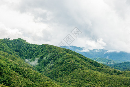 首脑颜色水平的雨后有雾Teak山图片