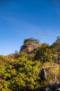 树野营灰色的DoiLuangChiangDao山风景清迈泰国图片