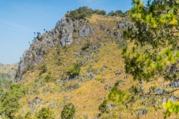 木头美丽的棕色DoiLuangChiangDao山风景清迈泰国图片