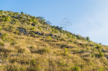 DoiLuangChiangDao山风景清迈泰国土壤难的麦图片