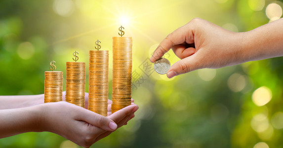 治理绿色白的上树硬币以显示商业增长的理念高树硬币以展示商业增长的概念图片