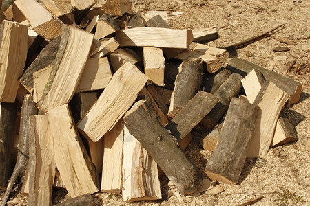 在明亮的阳光下把砍碎的角束木柴堆在锯草上自然粮食切碎的图片