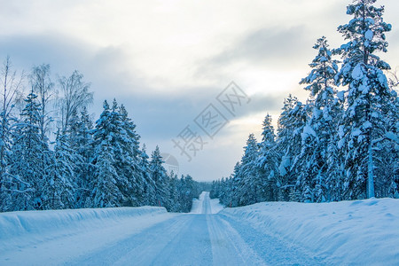 白雪皑晚上松树芬兰冬季空路森林清公路您可通过雪雨林之夜渡冬季的空高速公路在芬兰森林中畅通无阻图片