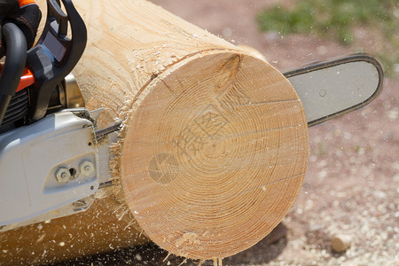 机器伐木工人用链锯砍专业的刀图片