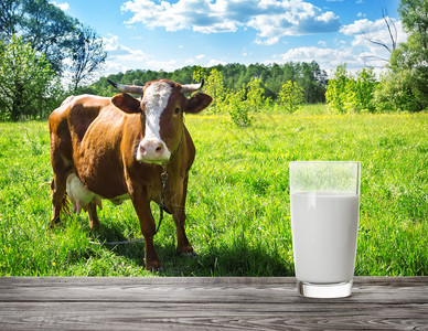 棕色的玻璃杯子天然食物和产品的概念棕牛奶与山地背景相配棕牛的奶与草地背景之对称图片