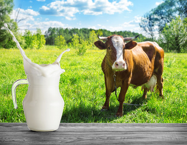 蛋白质在一片草原A的头奶牛背景之下一个罐子中的奶粉喷洒在一只牛的背上在一个木制桌子上放在牧场背景的一张木制桌边头食物图片