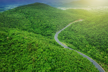旅游亚洲雨日出时山路穿越区的沥青路和绿林弯曲式柏油路图片